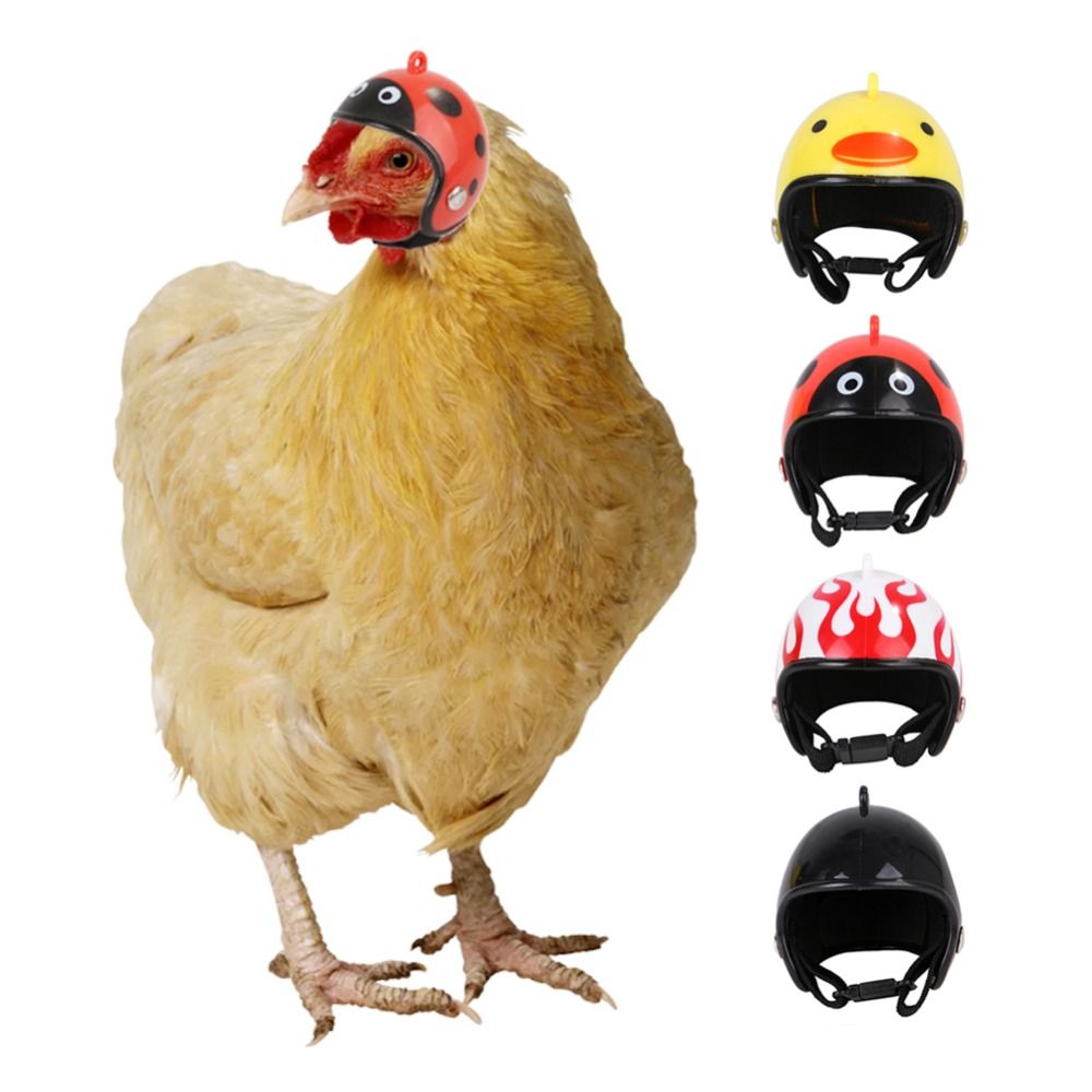Pet X Supplies & Tack Reviews - ABS Haustierzubehör Lustiger Schutzhelm für Haustiere