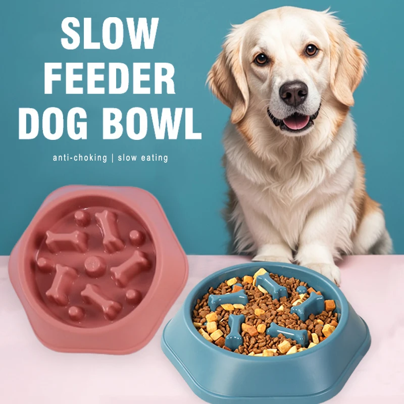 Neuer Slow-Feeder Hundenapf An – Royal Canin Food Medium Bewertung und Preis