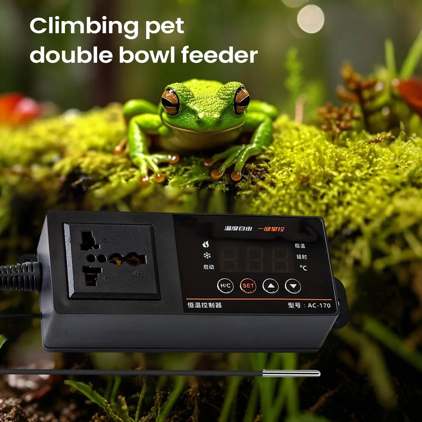 Thermostat für Reptilien-Terra – Pet Supplies Uk Bewertung und Preis