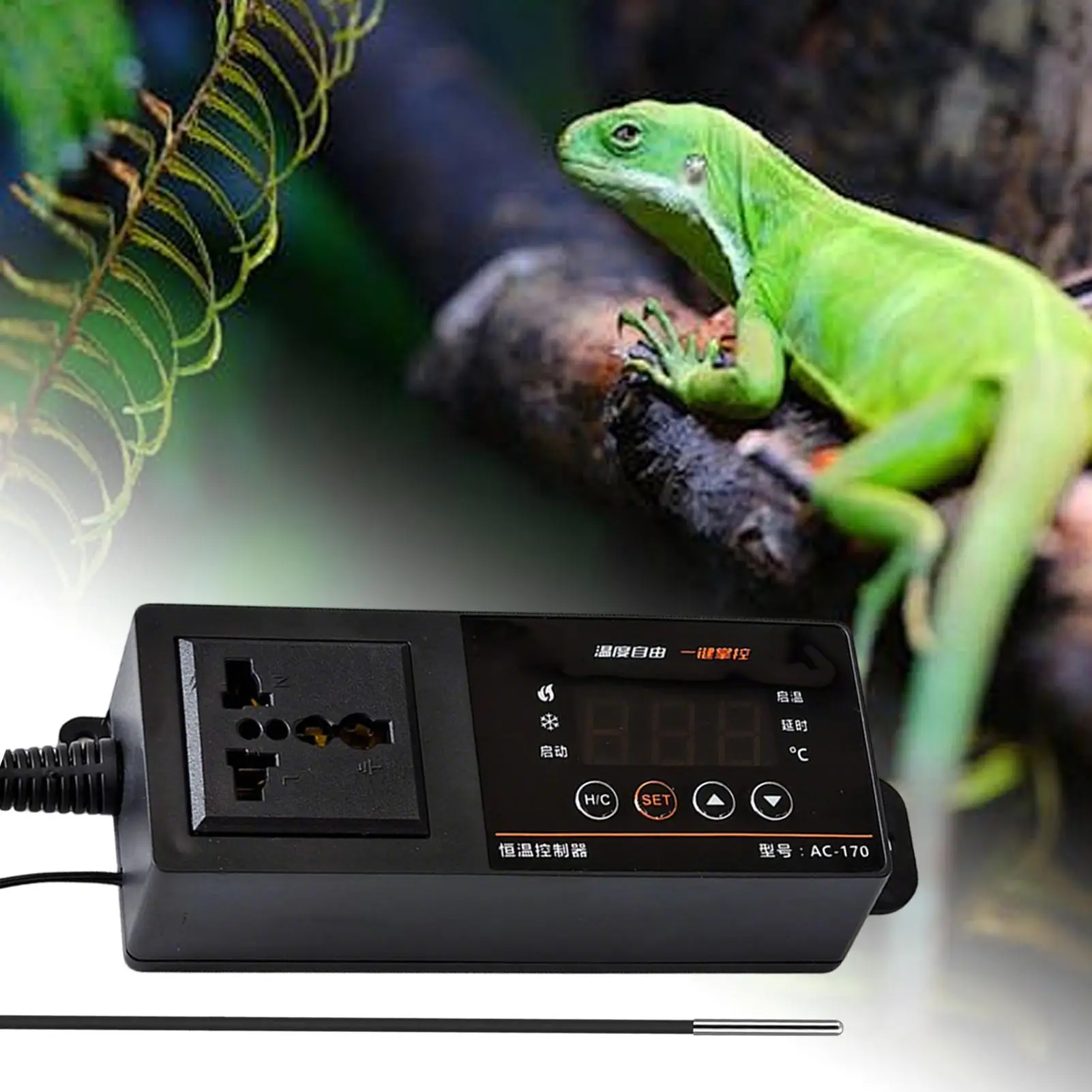 Thermostat für Reptilien-Terra – Pet Supplies Uk Bewertung und Preis