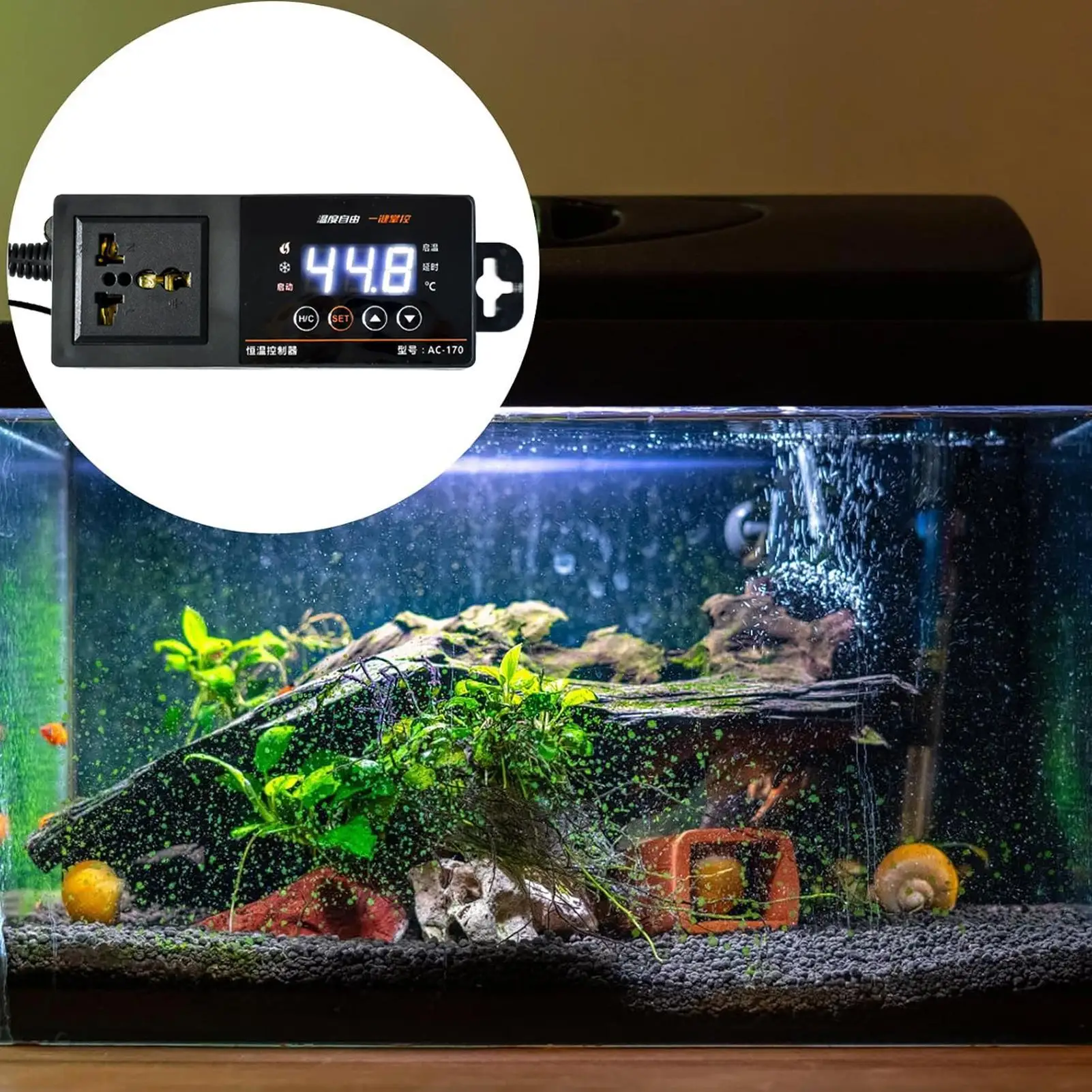 Thermostat für Reptilien-Terra – Pet Supplies Uk Bewertung und Preis