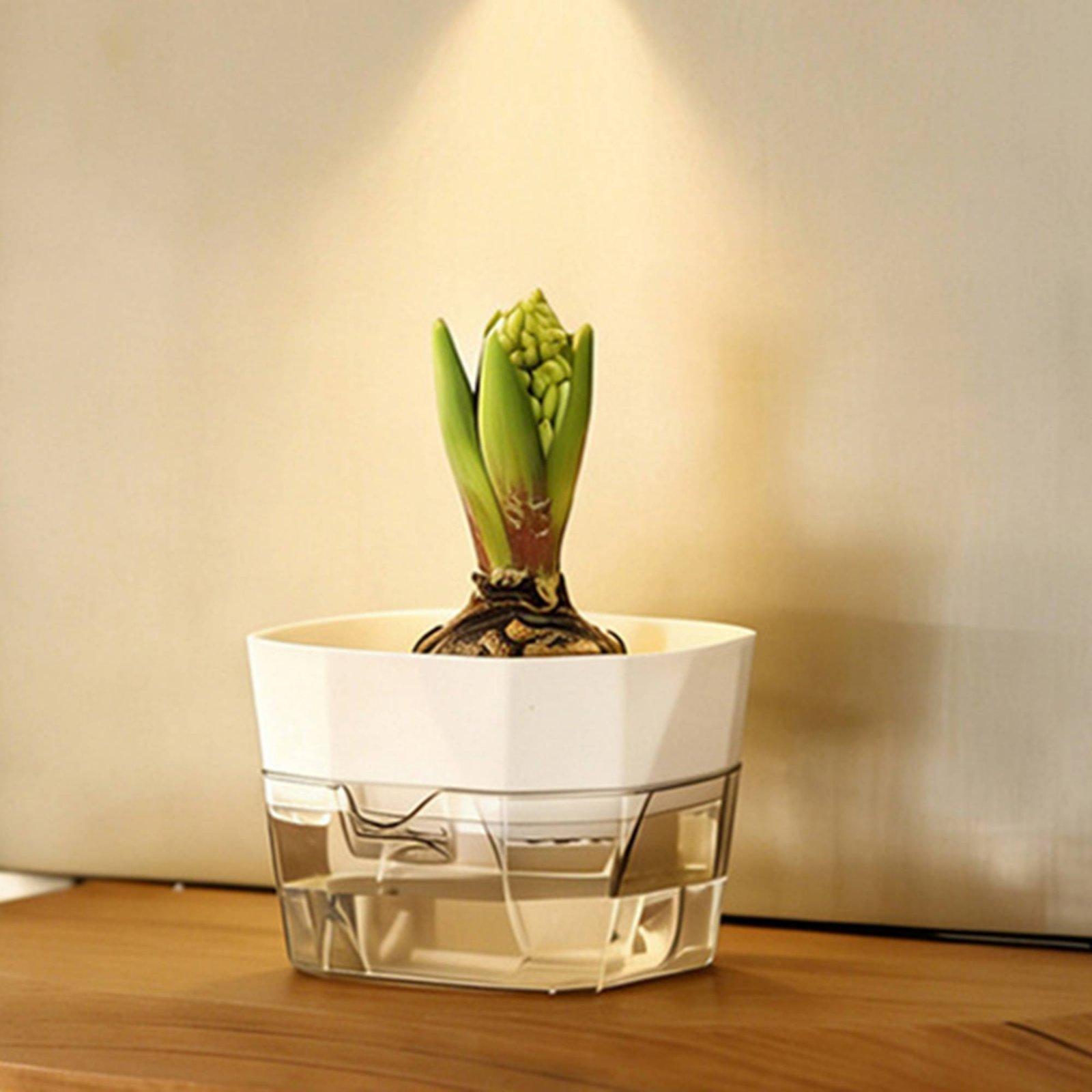 Hydroponische Vase mit Zwei Sc – Pet Supplies In Bewertung und Preis
