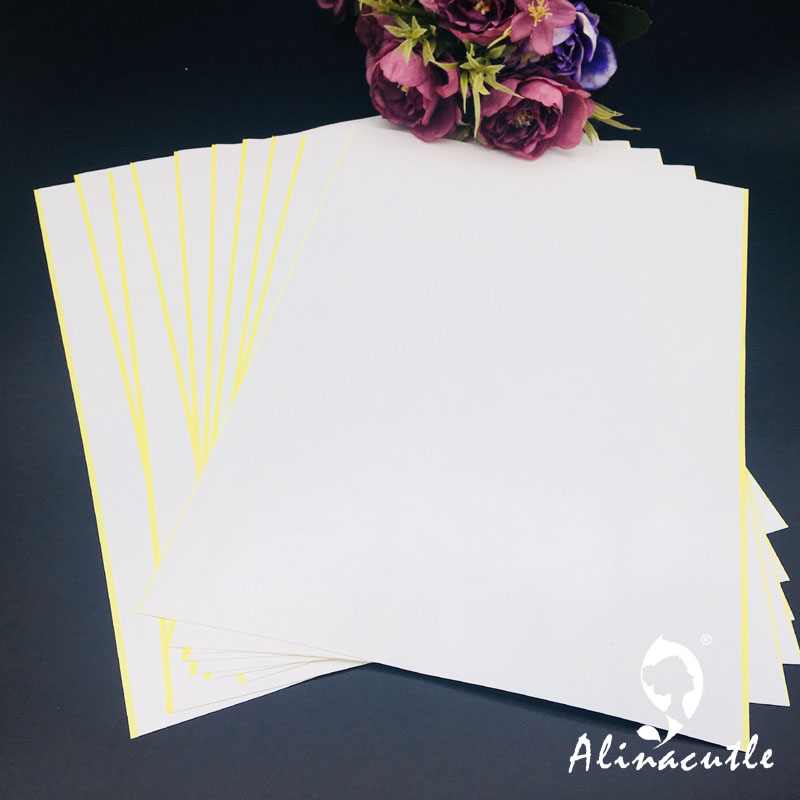 10PC X A4 Doppelseitiges Klebe – Pet X Supplies & Tack Reviews Bewertung und Preis