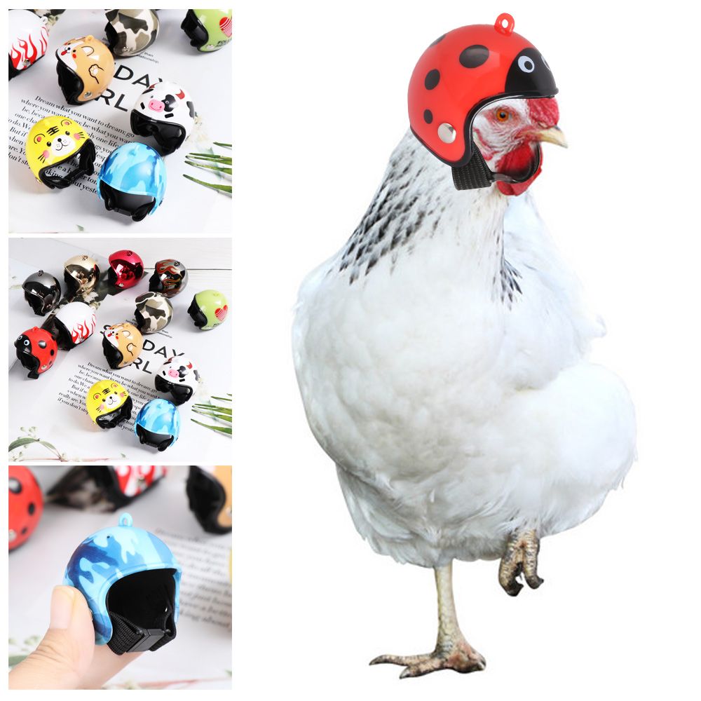 ABS Lustige Haustierzubehör Sc – Pet X Supplies & Tack Reviews Bewertung und Preis